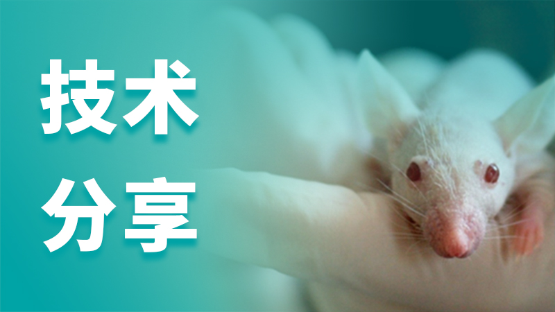 技术分享1