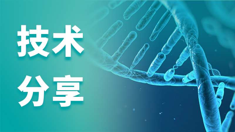 技术分享2